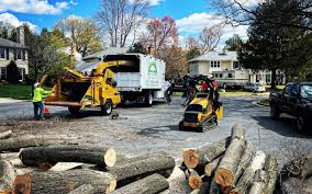 Best Firewood Processing and Delivery  in Anderson Creek, NC